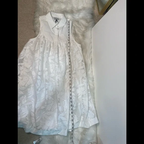 #86 Anthropologie HD IN PARIS Lace Shift Dress size S - Picture 9 of 11
